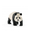 SLH 14772 Panda Wielka samiec - nr 2
