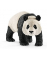 SLH 14772 Panda Wielka samiec - nr 3
