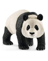 SLH 14772 Panda Wielka samiec - nr 4
