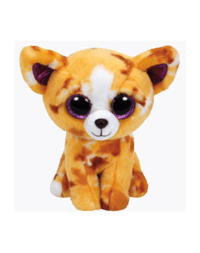 TY INC. 37171 TY TY BEANIE BOOS PABLO chihuahua tan 15cm 37171 008421371716 Niskie ceny www s.pl