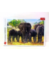 Puzzle 1000el Afrykańskie słonie 10442 Trefl - nr 2