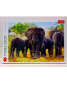 Puzzle 1000el Afrykańskie słonie 10442 Trefl - nr 3