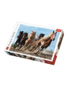 Puzzle 1000el Galopujące konie 10446 Trefl - nr 1