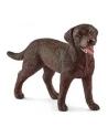 SLH 13834 Labrador Retrieve suczka - nr 4