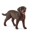 SLH 13834 Labrador Retrieve suczka - nr 4