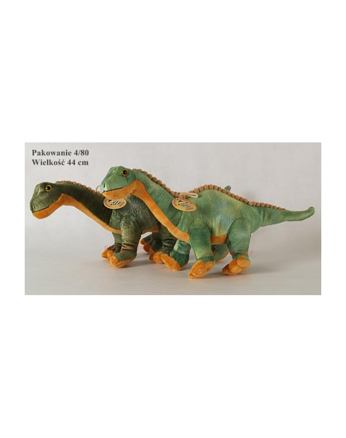 Dinozaur duży 02884 DEEF główny