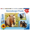 Puzzle 3x49el Kochane Konie 080113 RAVENSBURGER - nr 1