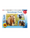 Puzzle 3x49el Kochane Konie 080113 RAVENSBURGER - nr 2