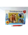 Puzzle 3x49el Kochane Konie 080113 RAVENSBURGER - nr 3