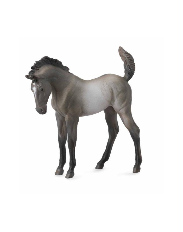 Koń Mustang Foal - Bay Roan źrebak 88546 COLLECTA główny