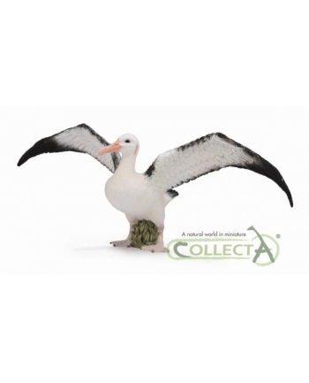 Albatros wędrowny 88765 COLLECTA