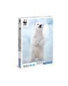 Clementoni Puzzle 250el Baby Polar Bear 29744 - nr 1