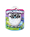 PROMO HATCHIMALS Jajko Smoczydło zielony 6028895 - nr 30