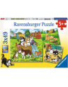 Puzzle 3x49el Słodkie pieski i kotki 080021 RAVENSBURGER - nr 2