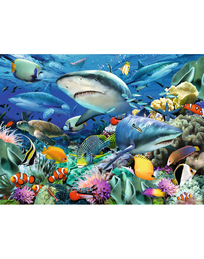 Puzzle 100el XXL Rafa rekinów 109517 RAVENSBURGER główny