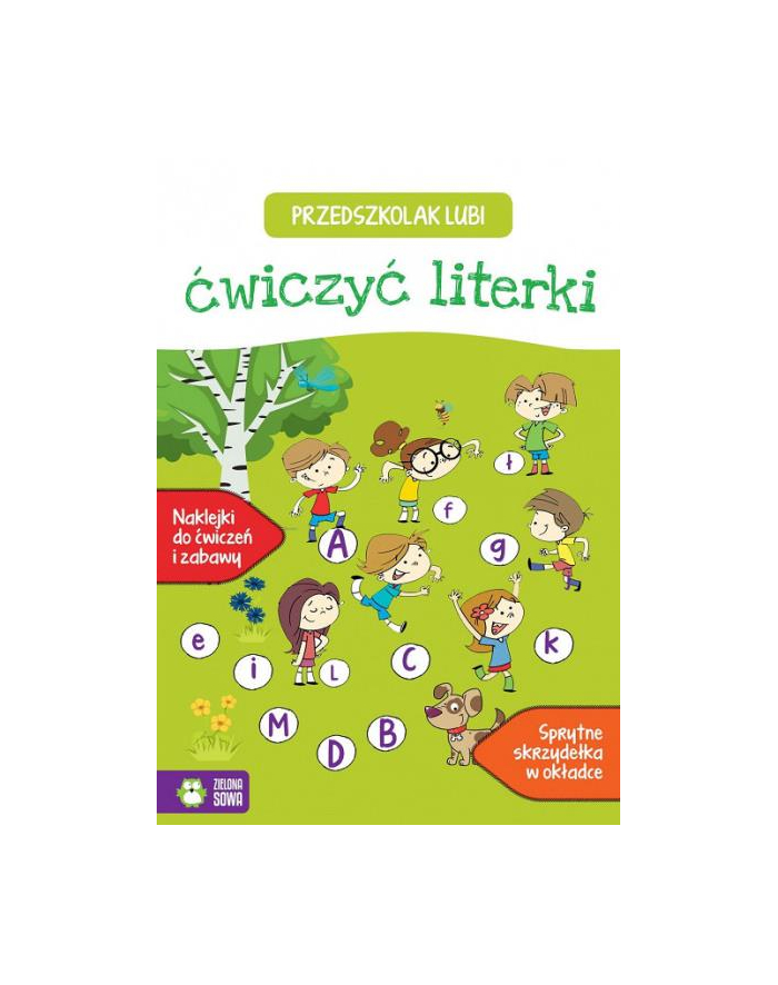 Książ. Przedszkolak lubi literki główny