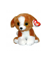 TY BEANIE BABIES SNICKY brązowy-biały pies 15cm 42182 - nr 1