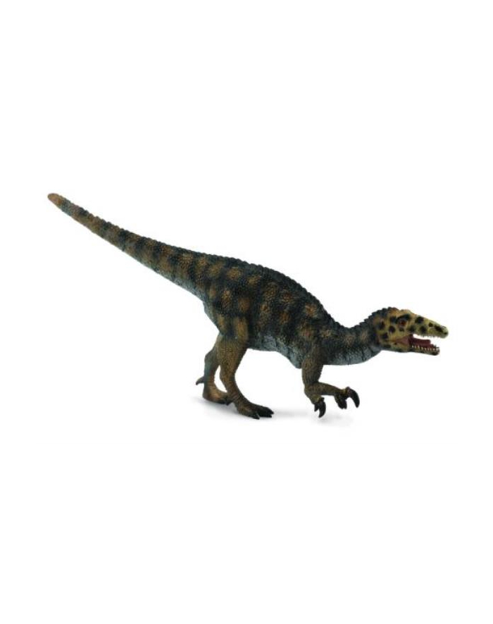 Dinozaur Australovenator główny