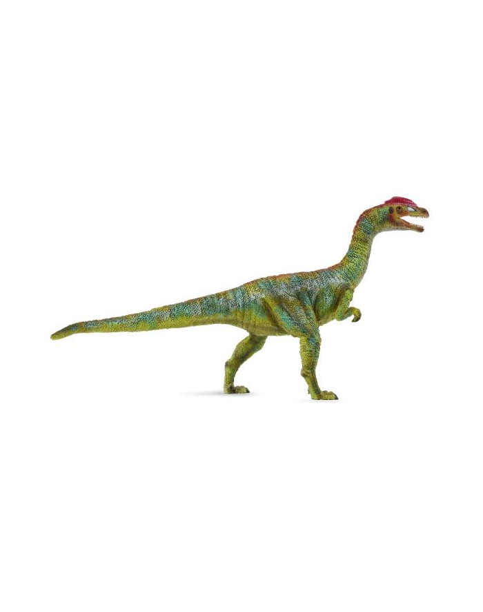 Dinozaur Liliensternus COLLECTA główny