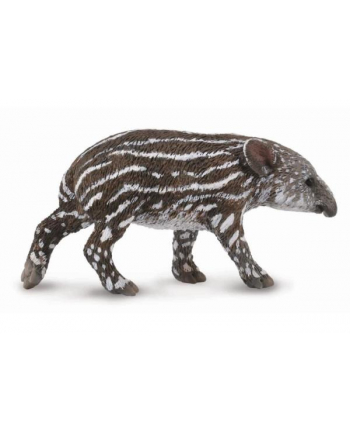 Tapir cielę Bairda COLLECTA
