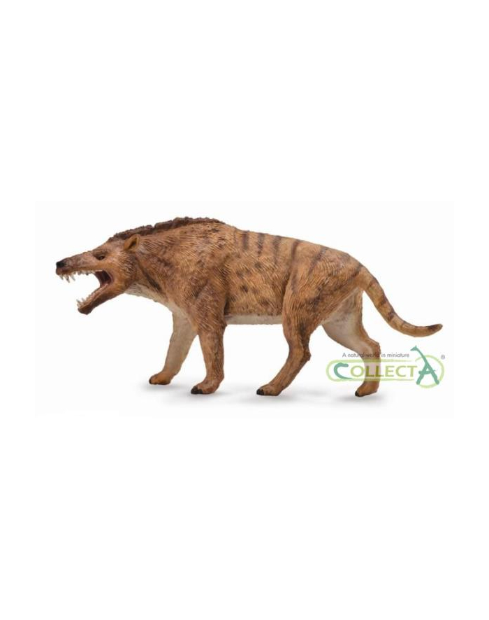 Dinozaur Andrewsarchus 1:20 Deluxe 88772 COLLECTA główny