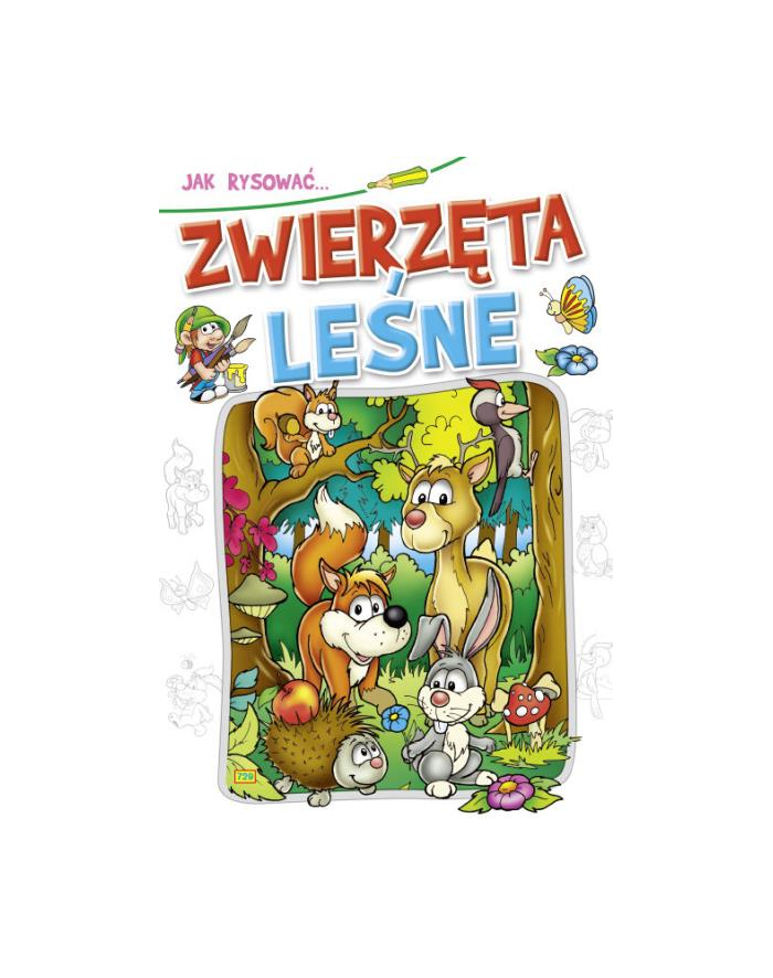 Książ. Jak rysować.. 154 p20 KRZESIEK główny