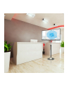 Techly Stojak podłogowy LCD/LED 13-27cali regulowany - nr 40