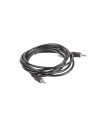 LANBERG Kabel Minijack - Minijack M/M 2M - nr 29