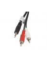 LANBERG Kabel Minijack - 2x Chinch M/M 5M - nr 20