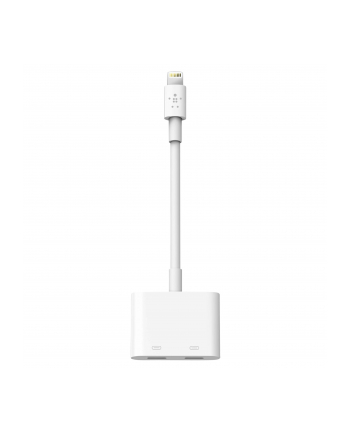 Dual Lightning Audio + Charger