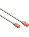 Patch cord nieekranowany U/UTP Kat.6 AWG 26/7 miedź LSOH szary 0,25m - nr 12