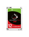 IronWolf Pro 12 TB 3,5'' ST12000NE0007 - nr 23