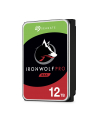 IronWolf Pro 12 TB 3,5'' ST12000NE0007 - nr 30