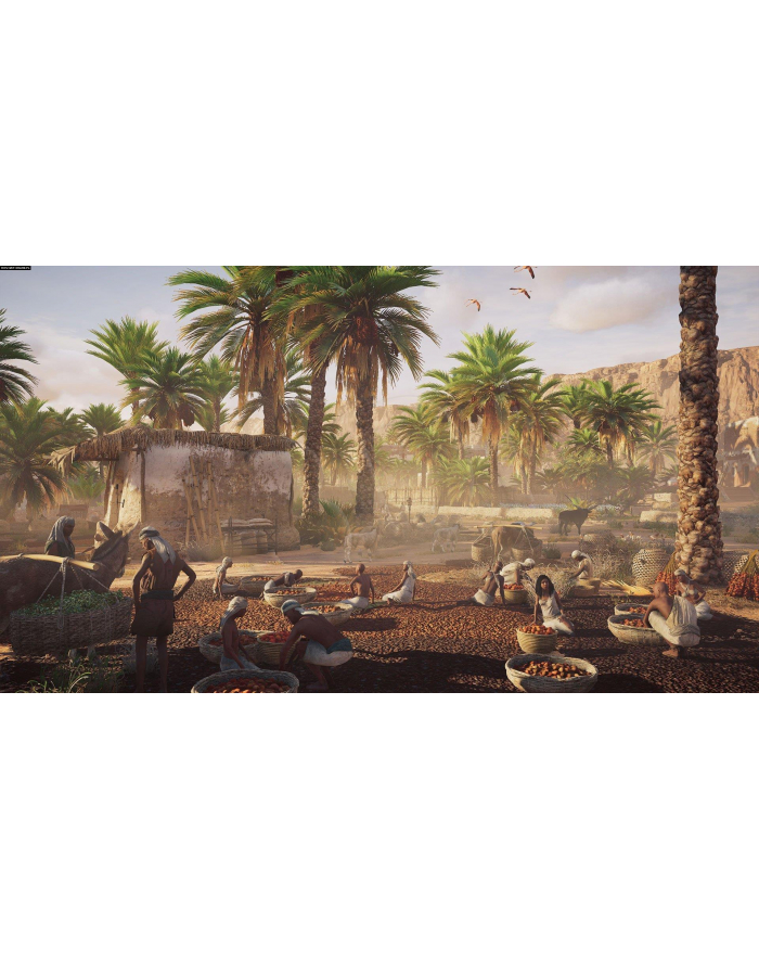 Gra PS4 Assassins Creed Origins główny
