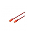 Patch cord nieekranowany U/UTP Kat.6 AWG 26/7 miedź LSOH czerwony 0,5m - nr 3