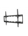 Uchwyt TV 32-84' udźwig 80kg VESA od 100x100 do 600x400 - nr 16