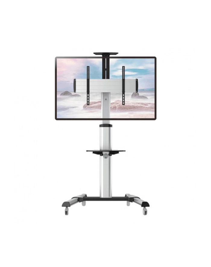 Stojak mobilny LCD/LED 37-70cali regulowany 160cm, 50kg główny