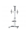Stojak mobilny LCD/LED 37-70cali regulowany 160cm, 50kg - nr 1