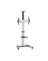 Stojak mobilny LCD/LED 37-70cali regulowany 160cm, 50kg - nr 33