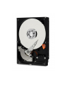 Western Digital HDD WD BLUE 1TB WD10SPZX SATA III 8 MB - nr 25