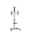 Stojak mobilny LCD/LED 37-70cali regulowany 160cm, 50kg - nr 33