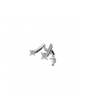 ICY BOX IB-MS504-T 2x - silver/black - nr 28
