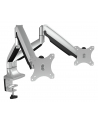 ICY BOX IB-MS504-T 2x - silver/black - nr 31
