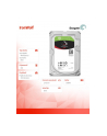 Dysk SEAGATE ST6000VN0033 IronWolf™ 6TB 7200 256MB SATA III NAS - nr 17