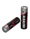 Ansmann Red Alkaline 8 sztuk pack AA - nr 7