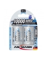 Ansmann 2xD NM 1.2V/10000mAh - nr 9