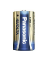 Panasonic EVOLTA Platinum D LR20EGE/2BP - Mono - nr 17