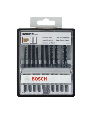 Bosch Brzeszczot Robust Line 10 szt.