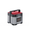 Steba Parowar DD 1 ECO silver/rd - nr 16