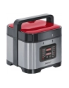Steba Parowar DD 1 ECO silver/rd - nr 34